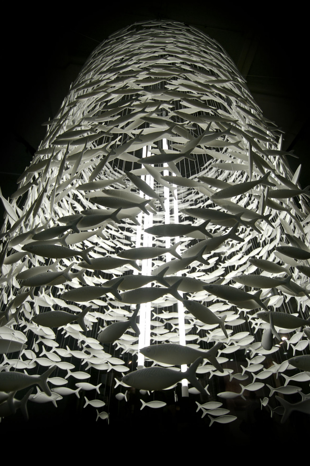 Shoal1672 03