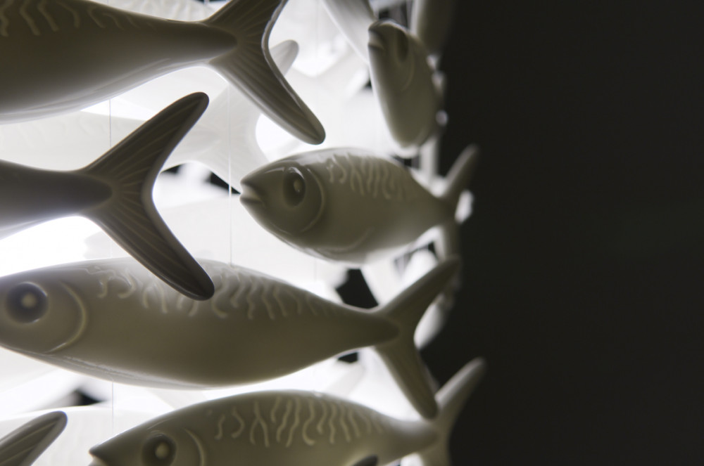 Shoal64 close up